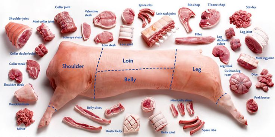 Pork Meat Cuts