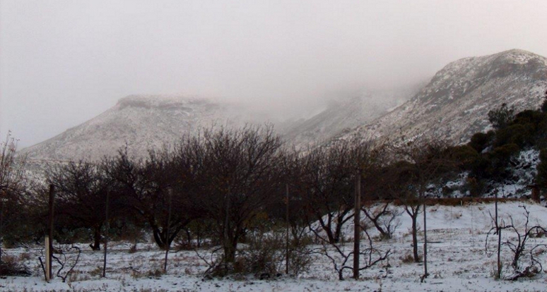Mist Kraal